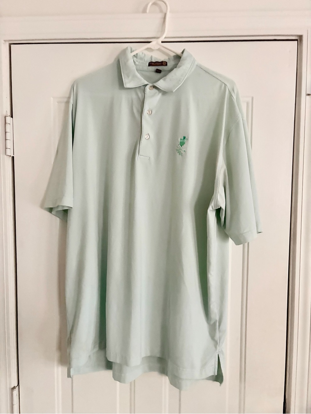 Peter Millar Men's Mint Green Polo Shirt